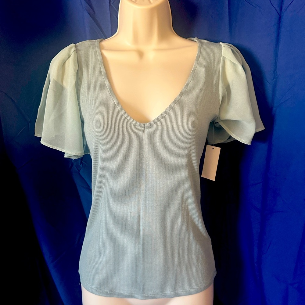 Mint color Flutter sleeve Vneck Knit